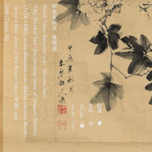 Load image into Gallery viewer, Uragami Shunkin (1779–1846), cotton rose and Kingfisher, 1844, Japanese hanging scroll, Late Edo period
