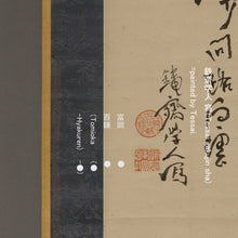 将图片加载到图库查看器，Tomioaka Tessai 富岡鉄斎(1836-1924), Hotei/Budai, *The appraisal certificate issued by the Osaka Art Club Appraisal, Japanese hanging scroll
