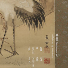 Charger l'image dans la galerie, Yoshinobu (?-?),義宣, A Pair of Cranes with Pine, Japanese hanging scroll, Late Edo period
