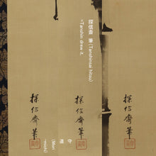 Load image into Gallery viewer, Kano Tanshin (Morimichi) (1785-1836),Shou-lao-ren, Bamboo, Plum, Sun, and Moon, Japanese hanging scroll
