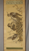 Afbeelding in Gallery-weergave laden, Nakamura Seikei(1792-1845) &quot;Peafowl&quot;  Late Edo period
