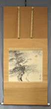 将图片加载到图库查看器，Tojo Koko (1917-?), Morning Sun and Pine Grove, Japanese hanging scroll, Showa period (1926-1989)
