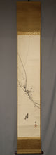 Lade das Bild in den Galerie-Viewer, Kikuchi Hobun (1862-1918) Japanese apricot and Japanese bush warbler, Taisho era, Japanese hanging scroll, kakejiku
