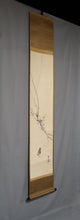 Lade das Bild in den Galerie-Viewer, Kikuchi Hobun (1862-1918) Japanese apricot and Japanese bush warbler, Taisho era, Japanese hanging scroll, kakejiku
