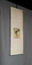 Lade das Bild in den Galerie-Viewer, Kawabe Seiran (1868-1931), Pine and Rose, Japanese hanging scroll
