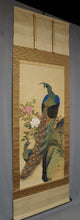 将图片加载到图库查看器，Hirai Chokusui  (1861-?) ,Peonies and Peacock, *No box, Japanese hanging scroll, kakejiku
