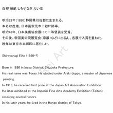 将图片加载到图库查看器，Shiroyanagi Eiho (1890-?), Pine Tree and Hawk, Japanese hanging scroll, kakejiku
