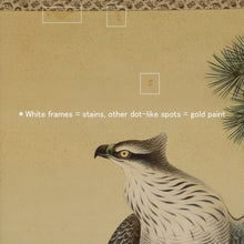 将图片加载到图库查看器，Shiroyanagi Eiho (1890-?), Pine Tree and Hawk, Japanese hanging scroll, kakejiku
