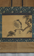 Load image into Gallery viewer, Hayashi Eiho (?-?), Hawk on a Pine Tree, Japanese hanging scroll, Late Edo period
