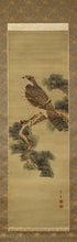 Lade das Bild in den Galerie-Viewer, Seppou(?-?) &quot;pine and hawk&quot; Late Edo period-Meiji era
