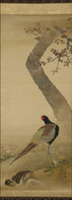 Afbeelding in Gallery-weergave laden, Imao Keinen(1845-1924) &quot;Cherry Blossoms and a Pheasant&quot; Meiji-Taisho era, Japanese hanging scroll, kakejiku
