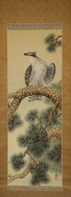 将图片加载到图库查看器，Shiroyanagi Eiho (1890-?), Pine Tree and Hawk, Japanese hanging scroll, kakejiku
