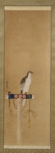 Carica l&#39;immagine nel visualizzatore di Gallery, Dougan洞岸 (?-?) &quot;Hawk&quot; Middle to late Edo period, Japanese hanging scroll, kakejiku
