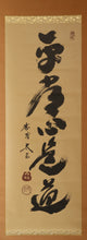 Load image into Gallery viewer, Kobayashi Taigen(1938-?), Byo-jo-shin zedo, Japanese hanging scroll
