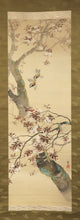 将图片加载到图库查看器，Bessho Seido (1866-?), Cherry Blossoms and Small Birds, Japanese hanging scroll, Taisho period (1912-1926)
