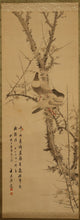 Load image into Gallery viewer, Tani Shūsho (1888–?), Pigeons and Plum Blossoms, 1914, Japanese hanging scroll
