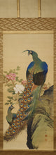 将图片加载到图库查看器，Hirai Chokusui  (1861-?) ,Peonies and Peacock, *No box, Japanese hanging scroll, kakejiku
