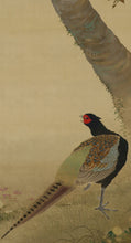 Charger l&#39;image dans la galerie, Imao Keinen(1845-1924) &quot;Cherry Blossoms and a Pheasant&quot; Meiji-Taisho era, Japanese hanging scroll, kakejiku
