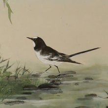 Load image into Gallery viewer, Oji Magosaburo(?-?),Wagtail and Dianthus (Pink), Japanese hanging scroll
