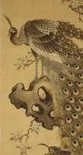 将图片加载到图库查看器，Nakamura Seikei(1792-1845) &quot;Peafowl&quot;  Late Edo period
