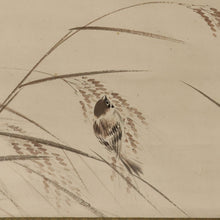 Lade das Bild in den Galerie-Viewer, Nakajima Raisho (1796-1871) , A Sparrow on Rice Ears, Japanese hanging scroll, kakejiku

