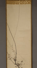 将图片加载到图库查看器，Kikuchi Hobun (1862-1918) Japanese apricot and Japanese bush warbler, Taisho era, Japanese hanging scroll, kakejiku
