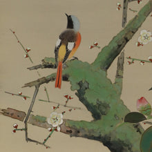 Afbeelding in Gallery-weergave laden, Ushio Tōri (1885–?), Early Spring, Japanese hanging scroll

