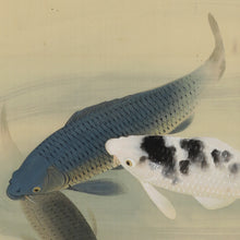 Afbeelding in Gallery-weergave laden, Fujishima Seison(1863-1935), Swimming Carp, Japanese hanging scroll
