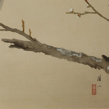 Load image into Gallery viewer, Hirai Baisen(1889-1969), A White Plum Tree with a Japanese Bush Warbler, Japanese hanging scroll
