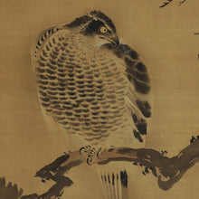 Load image into Gallery viewer, Hayashi Eiho (?-?), Hawk on a Pine Tree, Japanese hanging scroll, Late Edo period
