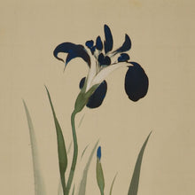 Load image into Gallery viewer, Takahashi Shuka (1878-1952), Iris and a Firefly, Japanese hanging scroll
