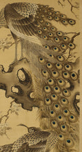 Carica l&#39;immagine nel visualizzatore di Gallery, Nakamura Seikei(1792-1845) &quot;Peafowl&quot;  Late Edo period
