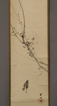 Carica l&#39;immagine nel visualizzatore di Gallery, Kikuchi Hobun (1862-1918) Japanese apricot and Japanese bush warbler, Taisho era, Japanese hanging scroll, kakejiku
