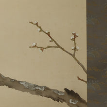 Load image into Gallery viewer, Hirai Baisen(1889-1969), A White Plum Tree with a Japanese Bush Warbler, Japanese hanging scroll

