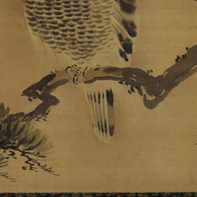 Load image into Gallery viewer, Hayashi Eiho (?-?), Hawk on a Pine Tree, Japanese hanging scroll, Late Edo period
