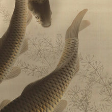 Load image into Gallery viewer, Minakami Taisei(1877-1951) , Group of Carps, Japanese hanging scroll
