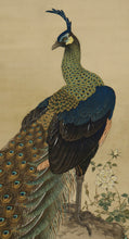 Lade das Bild in den Galerie-Viewer, Mizutani Honen(1879-1928)  &quot;Peacocks and Roses&quot; Taisho-Showa era
