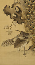 Load image into Gallery viewer, Nakamura Seikei(1792-1845) &quot;Peafowl&quot;  Late Edo period
