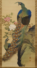 将图片加载到图库查看器，Hirai Chokusui  (1861-?) ,Peonies and Peacock, *No box, Japanese hanging scroll, kakejiku
