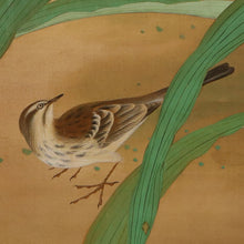 Lade das Bild in den Galerie-Viewer, Uemura Shoko (1902-2001) ,Canna Lily and Little Bird, Japanese hanging scroll, kakejiku
