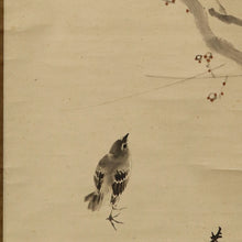 Lade das Bild in den Galerie-Viewer, Kikuchi Hobun (1862-1918) Japanese apricot and Japanese bush warbler, Taisho era, Japanese hanging scroll, kakejiku
