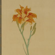 Lade das Bild in den Galerie-Viewer, Uemura Shoko (1902-2001) ,Canna Lily and Little Bird, Japanese hanging scroll, kakejiku
