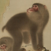 Charger l&#39;image dans la galerie, Hosui豊水 (?-?) Two monkeys,Showa era, Japanese hanging scroll, kakejiku
