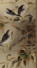 Lade das Bild in den Galerie-Viewer, Shuku-kun&#39;淑薫 &quot;Late autumn (chestnut tree and three birds)&quot; Showa era
