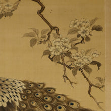 Lade das Bild in den Galerie-Viewer, Nakamura Seikei(1792-1845) &quot;Peafowl&quot;  Late Edo period
