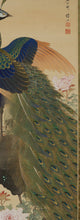 Afbeelding in Gallery-weergave laden, Maki Ozan (?-?) - &quot;Peony and Peacock&quot; ca 1900-20s (Meiji/Taisho)
