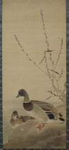 Afbeelding in Gallery-weergave laden, Kobayashi Gokyo (1871-1928),willow trees and ducks ,Japanese hanging scroll, kakejiku
