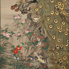 Afbeelding in Gallery-weergave laden, Tani Bunchu (1823-1876) &quot;Bloeiende planten, pauwen en kleine vogels onder een dennenboom&quot; grote hangende rol, late Edo-periode-meiji-tijdperk
